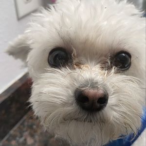 Meet your Posher, Natalie